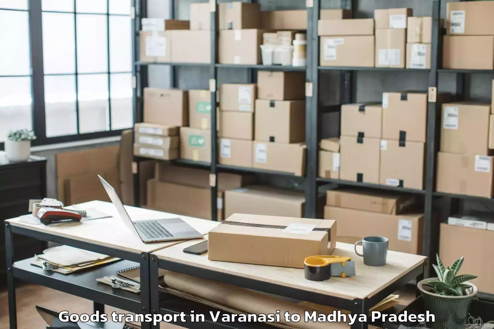 Easy Varanasi to Vit Bhopal University Bhopal Goods Transport Booking